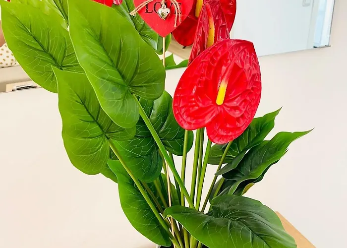 Bonito Nº2 Playa-centro Fuengirola